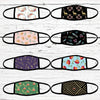 Boho Glam Face Mask / Washable / Dust Mask/ Face Mask for Adults/ Face Mask for Youth